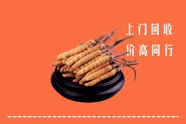 晋城回收散虫草