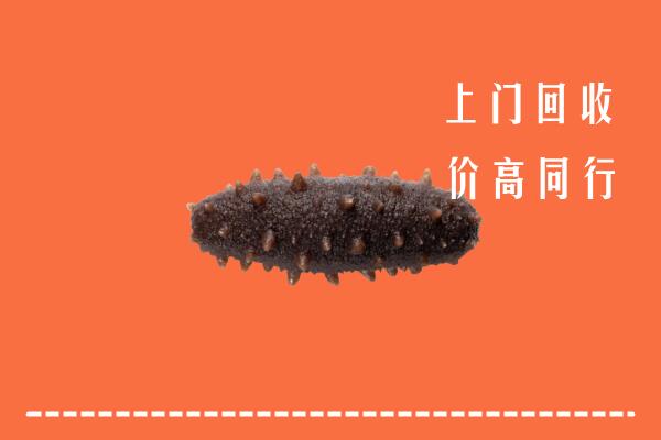 晋城高价回收海参